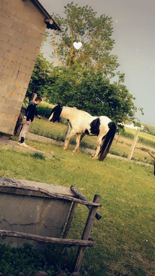 Maison A La Campagne Lye Dış mekan fotoğraf