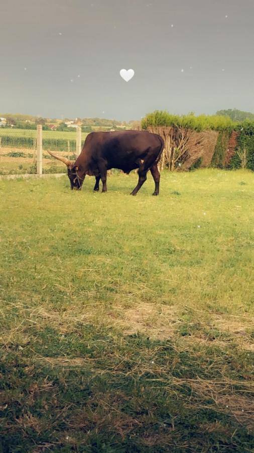 Maison A La Campagne Lye Dış mekan fotoğraf